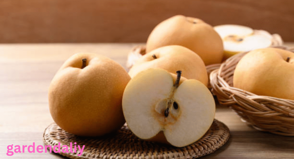 brown fruit with white inside