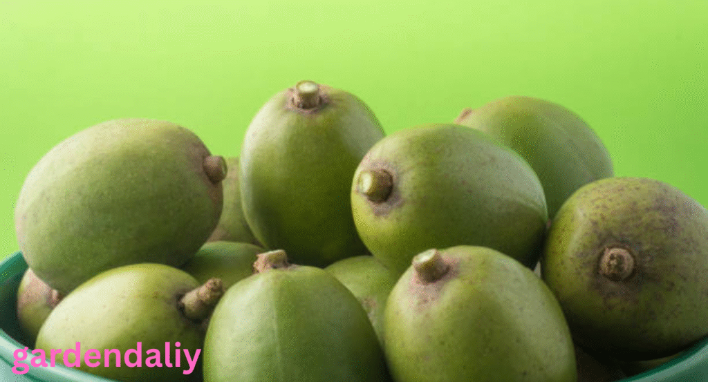 fruits that look like mango