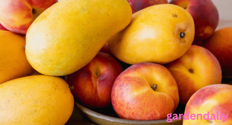 fruits that look like mango