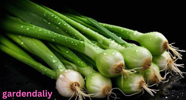 green onion shortage