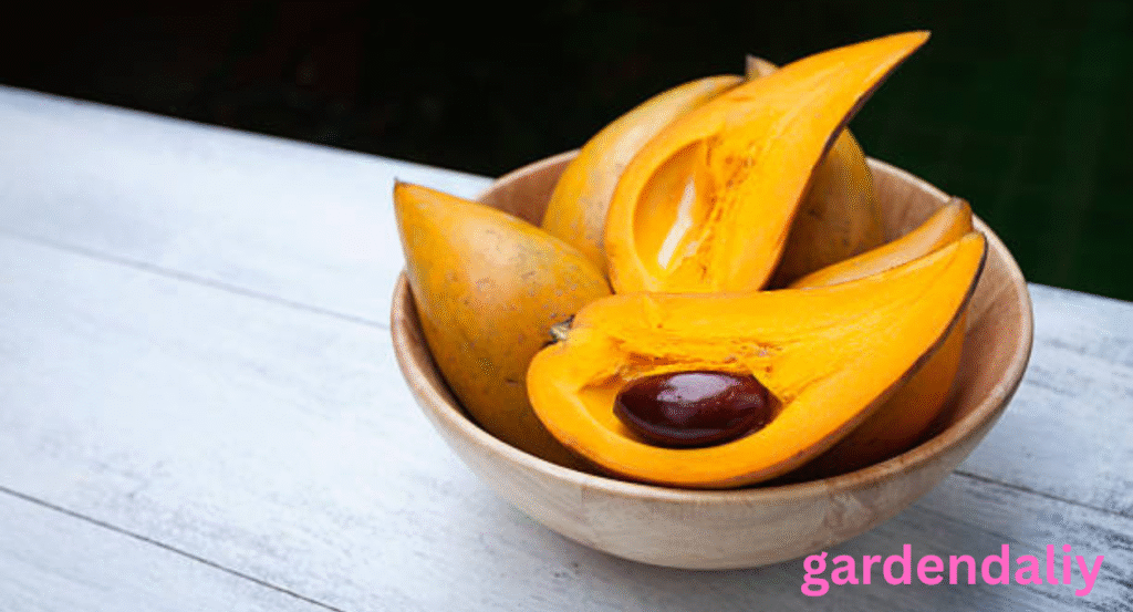 fruits that look like mango