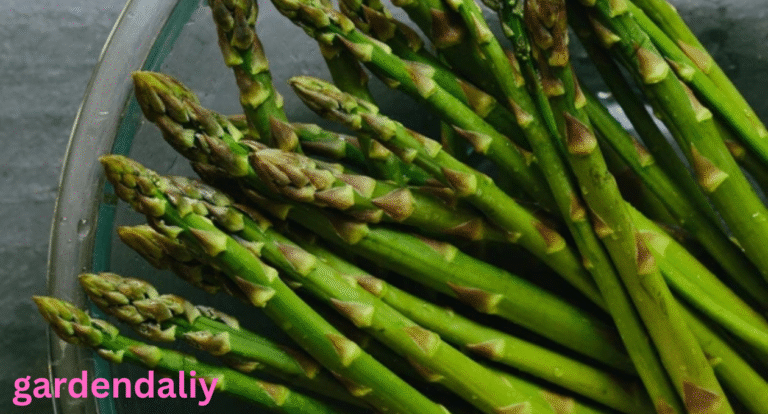 The asparagus shortage is creating challenges for consumers