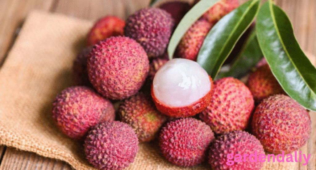 fruits that look like grapes