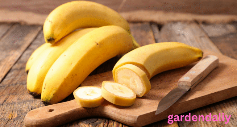 Banana Shortage Why Bananas Are Becoming Harder to Find 